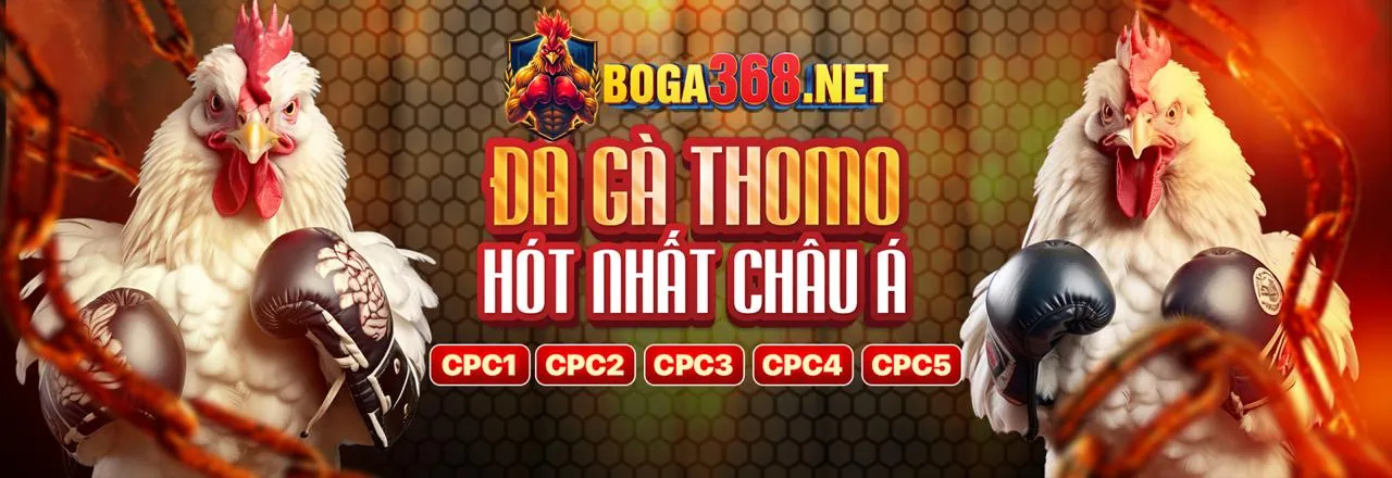 Hình ảnh nền tảng liên kết poker mới tốt nhất năm 2023