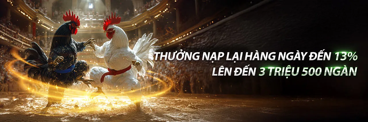 Đá Gà Trực Tuyến Hấp Dẫn tại poker link mới